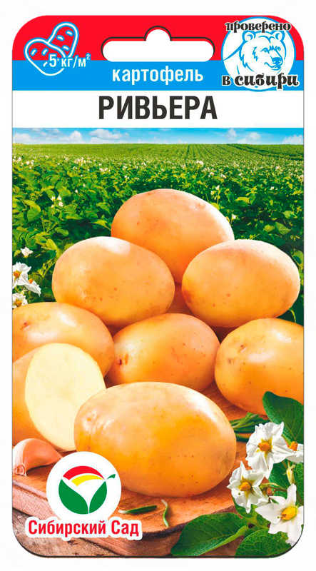 Картофель Ривьера 12шт (Сиб Сад)