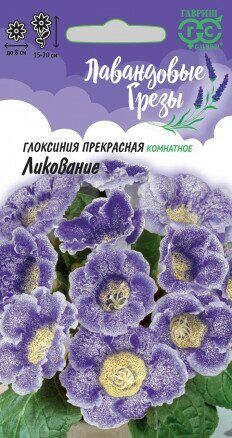 Глоксиния Ликование Лавандовые грезы 4шт (Гавриш)