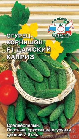 Огурец Дамский каприз F1 -корнишон 0,2г (Седек)