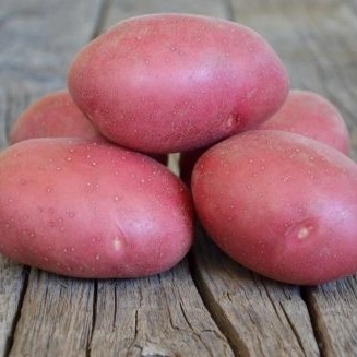 Картофель Лабелла 1 репродукция 2кг (Россия)