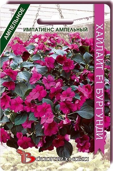 Импатиенс (бальзамин) Хайлайт F1 Бургунди однолетник 10шт (Биотехника)