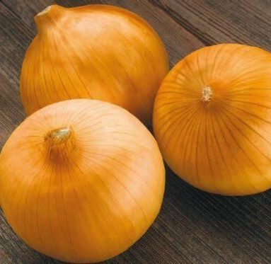 Лук севок Сибирский однолетний 14/21 1 упаковка (Россия)