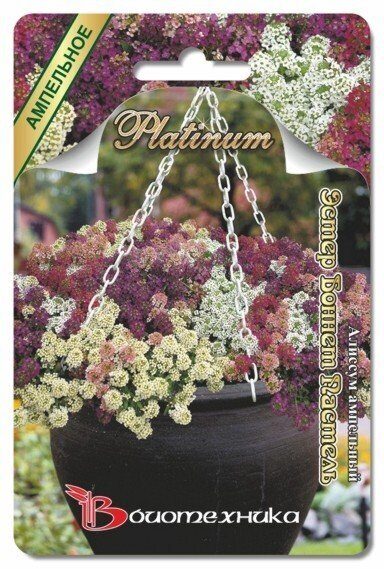 Алиссум Эстер Боннет Пастель ампельная однолетник 40шт (Биотехника)