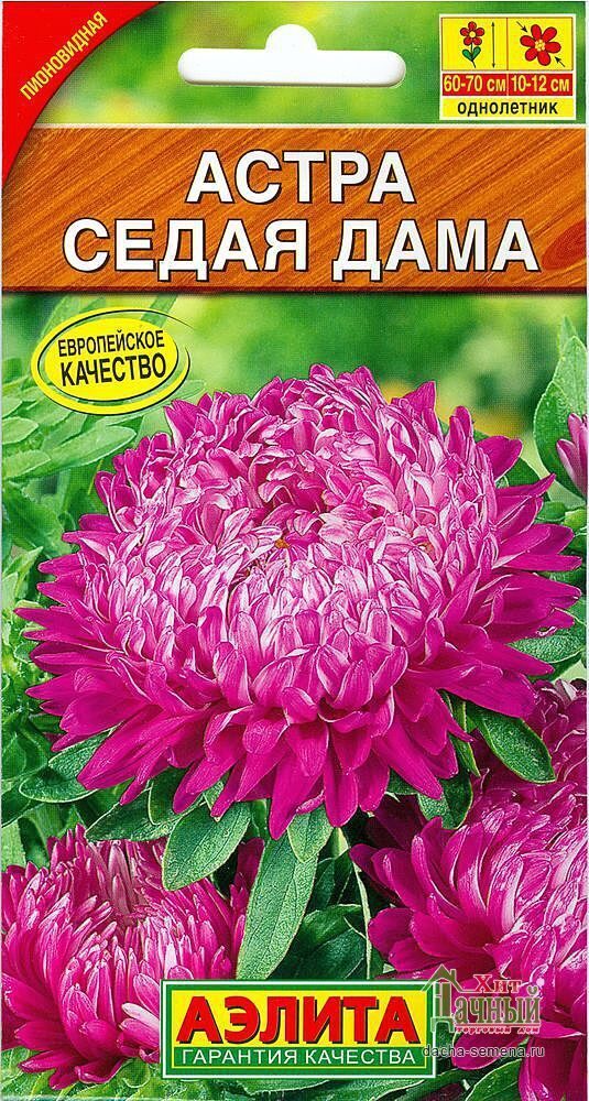 Астра Седая дама однолетник 0,2г (Аэлита)