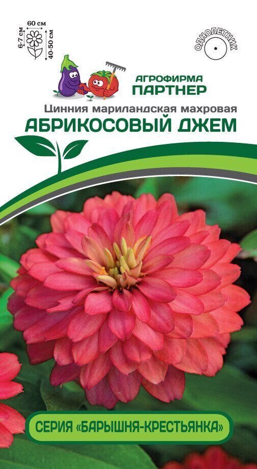 Цинния Абрикосовый джем однолетник 5шт (Партнер)