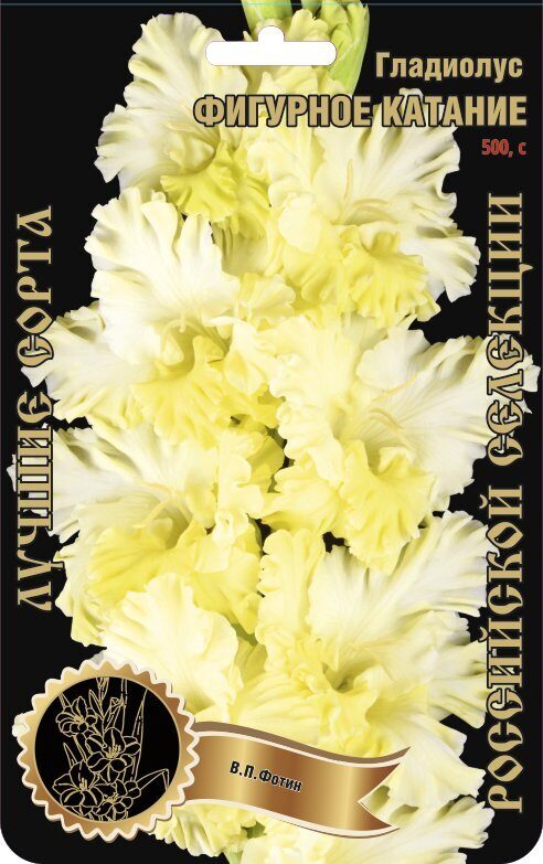 Гладиолус Фигурное Катание 500,Фотин 1 р-р 1шт (Ф)