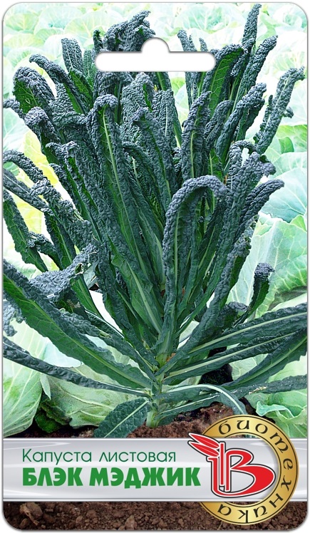 Капуста листовая Блэк Меджик 0,3г (Биотехника)