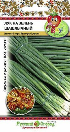 Лук на зелень Шашлычный ВКУСНЯТИНА 2г (НК)
