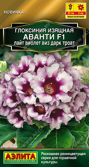 Глоксиния Аванти F1 лайт виолет виз дарк троат 5шт (Аэлита)