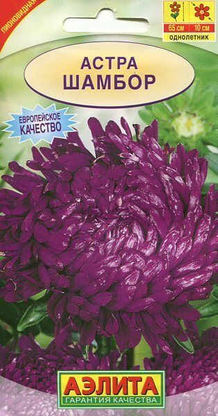 Астра Шамбор пионовидная однолетник 0,2г (Аэлита)