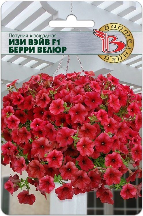 Петуния ИЗИ ВЕЙВ F1 Берри Велюр ампельная однолетник 5шт (Биотехника)