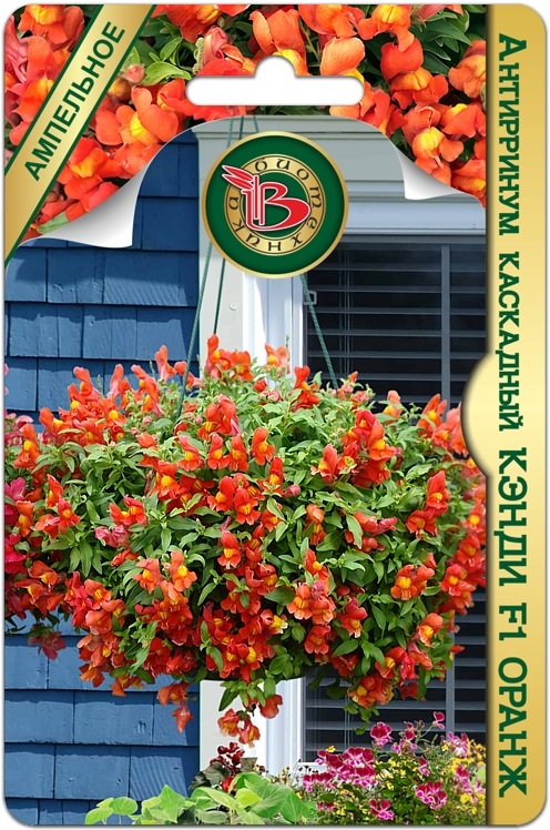 Антирринум КЭНДИ F1 Оранж каскадный однолетник 15шт (Биотехника)
