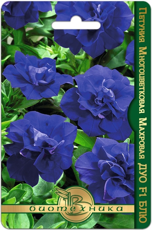 Петуния ДУО F1 Блю 10шт (Биотехника)