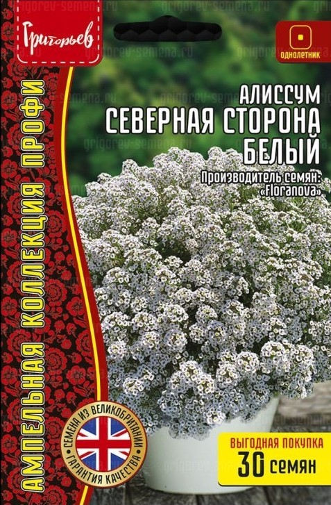 Алиссум Северная Сторона ампельный белый 30шт (Ред.Сем)