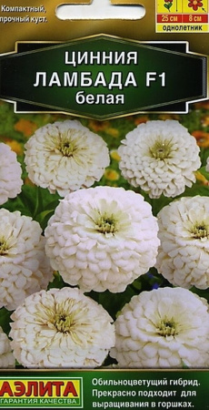 Цинния Ламбада F1 белая однолетник 12шт (Аэлита)
