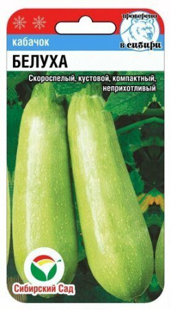 Кабачок Белуха 5шт (Сиб сад)