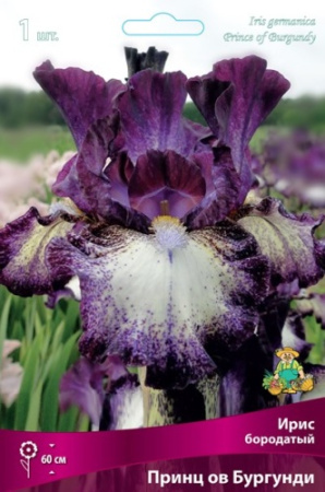 Ирис Принц ов Бургунди (Германский) 1шт (Поиск)