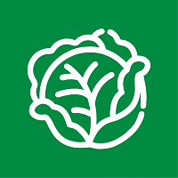 Капуста белокочанная