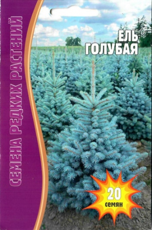 Ель Голубая 20шт (Ред.сем)