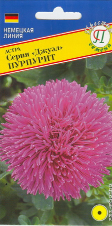 Астра ДЖУЭЛ Пурпурит однолетник 0,3г (Престиж)