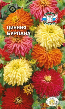 Цинния Бурпана смесь однолетник 0,5г (Седек)