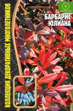 Барбарис Юлиана 5шт (Ред.Сем)