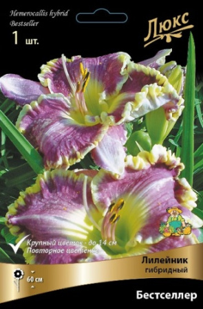 Лилейник Бестселлер 1шт (Поиск)