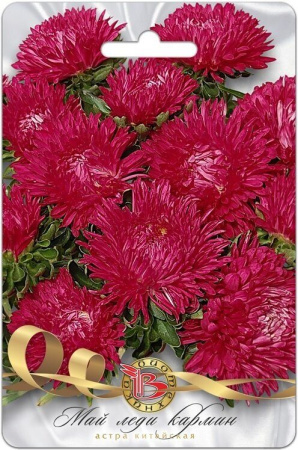 Астра МАЙ ЛЕДИ Кармин однолетник 30шт (Биотехника)