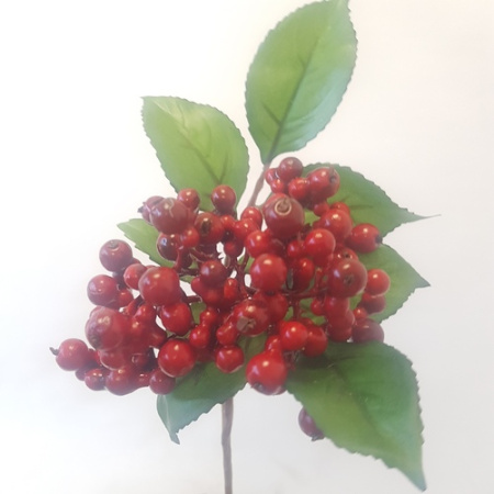 Ветка Рябины 1шт (Сиб Сад)