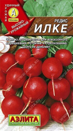 Редис Илке 2г (Аэлита)
