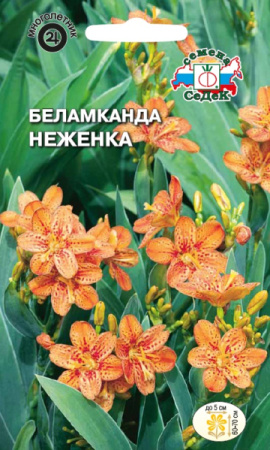 Беламканда Неженка многолетник 0,2г (Седек)