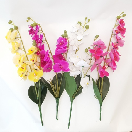 Орхидея двойная 50см (Сиб Сад)