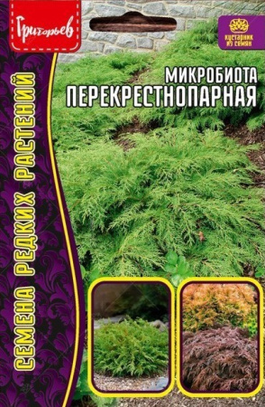 Микробиота перекрестнопарная 5шт (Ред.Сем)