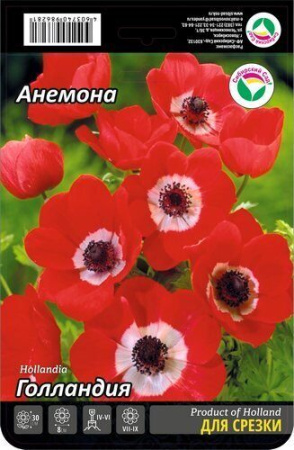 Анемона Голландия 5/6 15шт (Сиб сад)