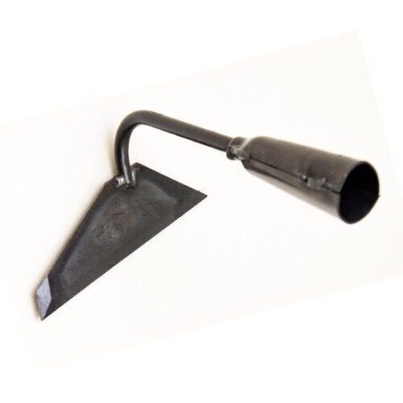 Плоскорез Фомич (Азия)