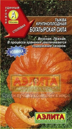 Тыква Богатырская сила крупноплодная 1г (Аэлита)