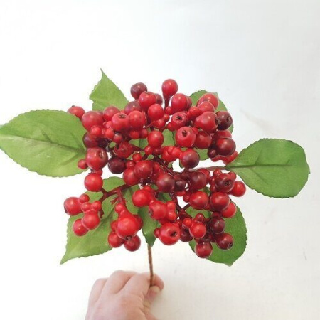 Цветы SB9172-4 Рябина (48шт) (Сиб Сад)