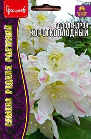 Рододендрон Короткоплодный 20шт (Ред.сем)