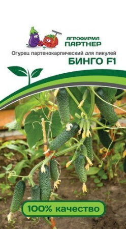 Огурец Бинго F1 5шт (Партнер)