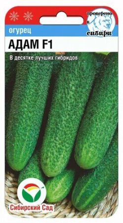 Огурец Адам F1 5шт (Сиб сад)