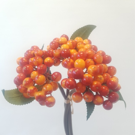 Ягода Оранжевая 1шт (Сиб Сад)