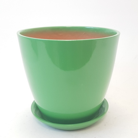 Бутон ГЛ-03 Глянец Зеленый 18см