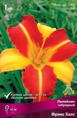 Лилейник Франс Халс 1шт (Поиск)