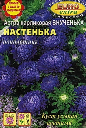 Астра Внученька Настенька карликовая 0,1г (АэлитаЭкстра)