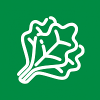 Капуста листовая