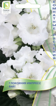 Глоксиния ИМПРЕСС Вайт 5шт (Поиск)