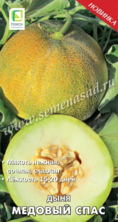 Дыня Медовый Спас 10шт (Поиск)