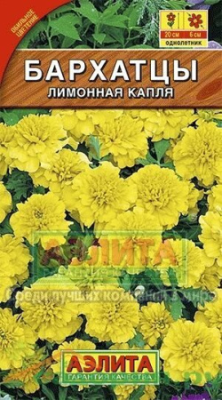 Бархатцы Лимонная капля однолетник 0,3г (Аэлита)