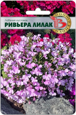 Лобелия Ривьера Лилак однолетник 10шт (Биотехника)