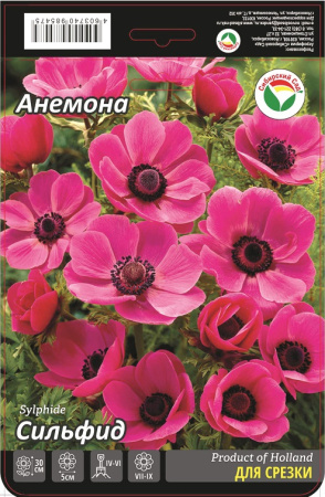 Анемона Сильфид 5/6 15шт (Сиб сад)